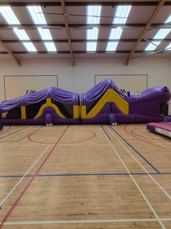 Purple hippo-shaped obstacle course for parties in Cork